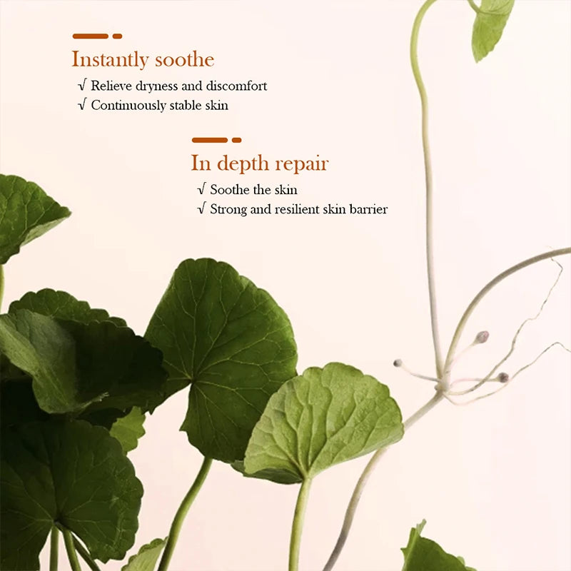 DOLANJN 5pcs Centella Asiatica Skincare Set Sun Repair Serum Toner Cleansing Oil Foam Soothing Cream