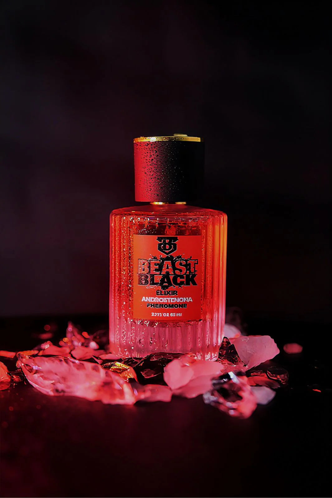 Black Edition – Elegancia Suprema y Presencia Imponente para el Hombre Moderno