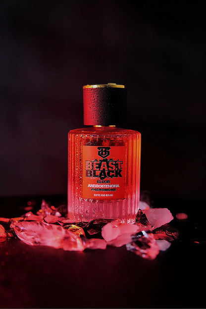 Black Edition – Elegancia Suprema y Presencia Imponente para el Hombre Moderno